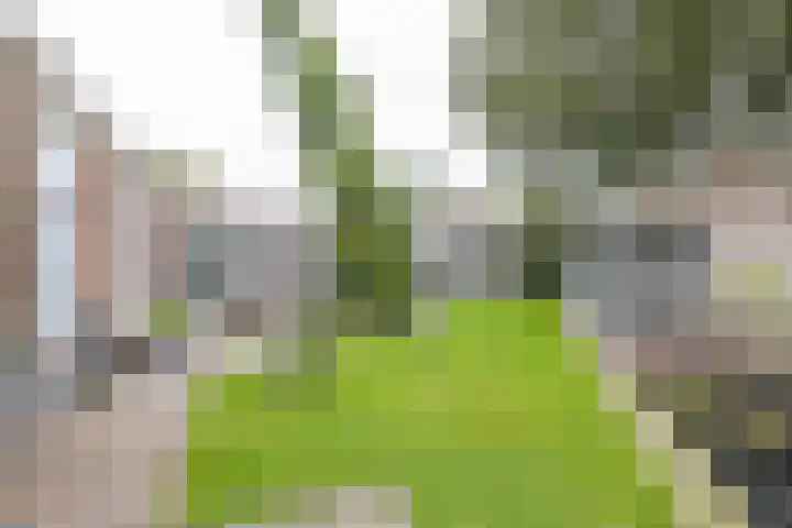 Kanaaldijk 24 De Punt thumbnail 43