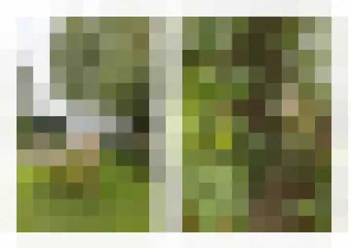 Kanaaldijk 24 De Punt thumbnail 45