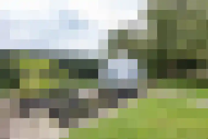 Kanaaldijk 24 De Punt thumbnail 46