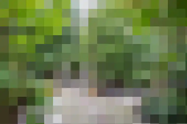 Kanaaldijk 24 De Punt thumbnail 47
