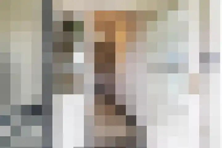 Kanaaldijk 24 De Punt thumbnail 5