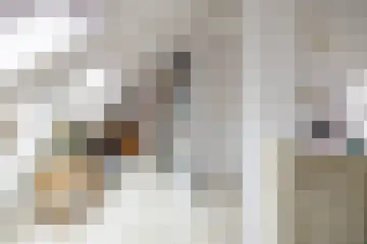 Kanaaldijk 24 De Punt thumbnail 50