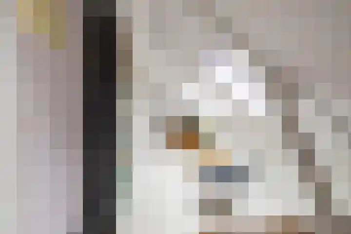 Kanaaldijk 24 De Punt thumbnail 52