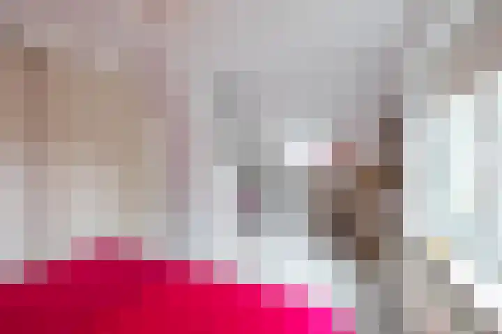 Kanaaldijk 24 De Punt thumbnail 54