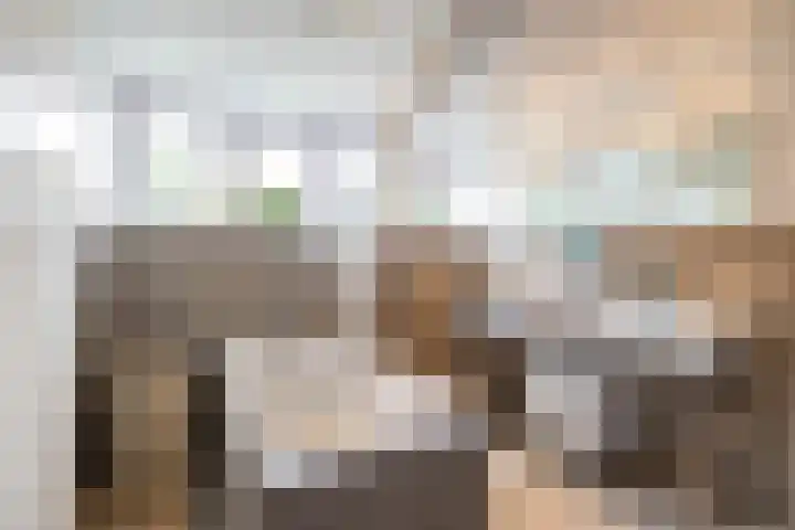 Kanaaldijk 24 De Punt thumbnail 56