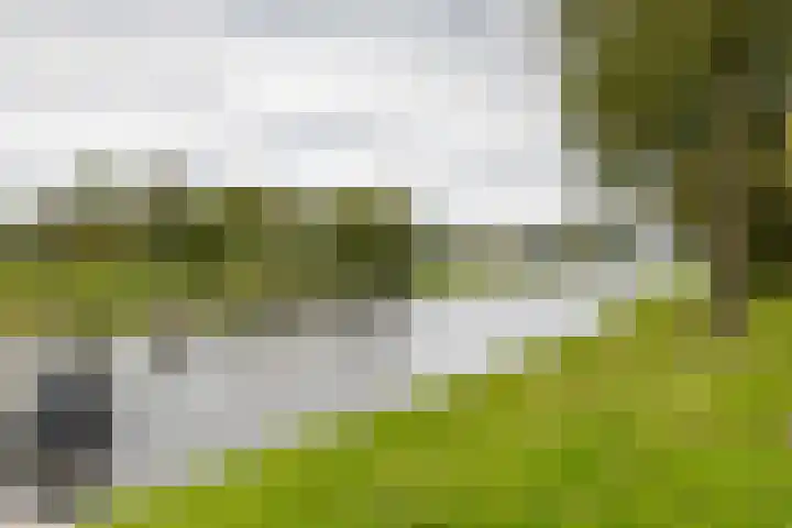 Kanaaldijk 24 De Punt thumbnail 60