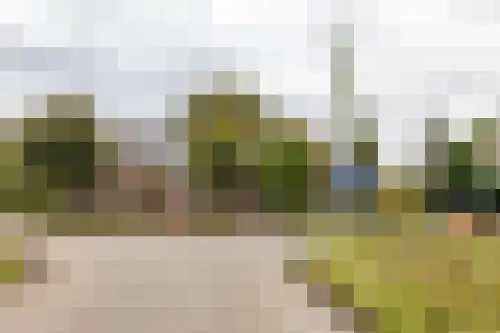 Kanaaldijk 24 De Punt thumbnail 61