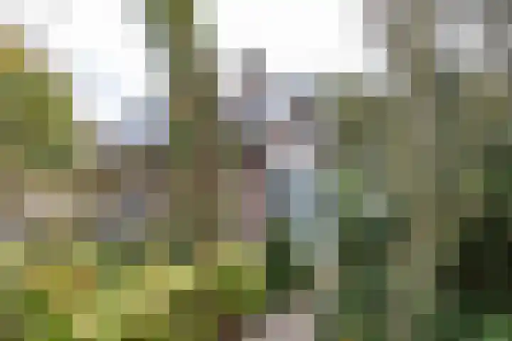 Kanaaldijk 24 De Punt thumbnail 62