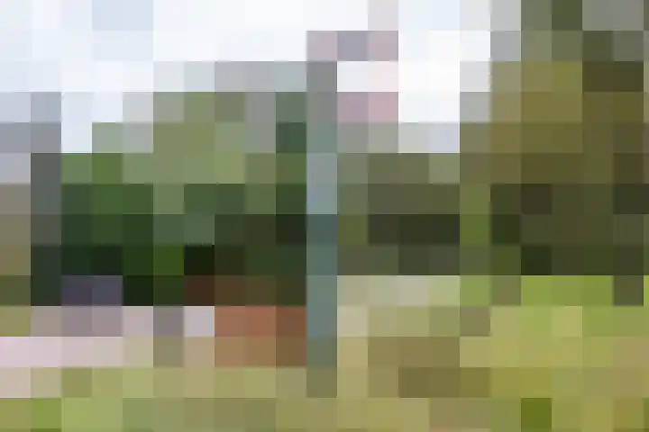 Kanaaldijk 24 De Punt thumbnail 63