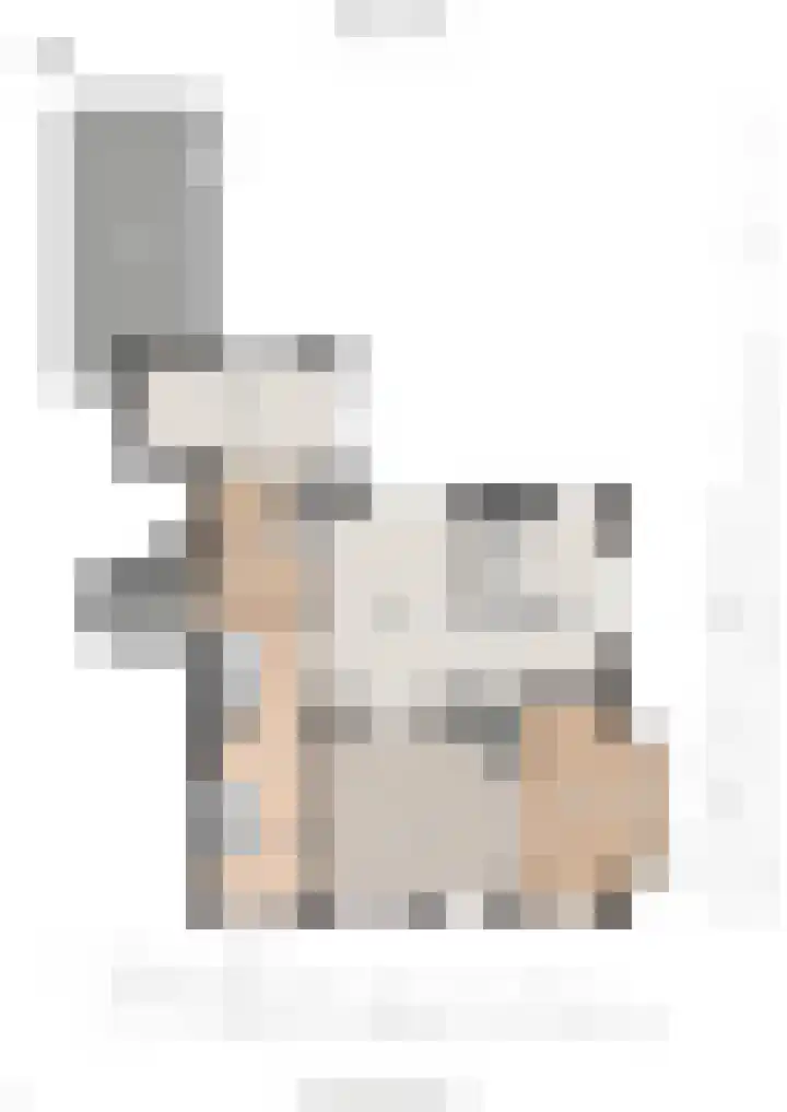Kanaaldijk 24 De Punt thumbnail 66