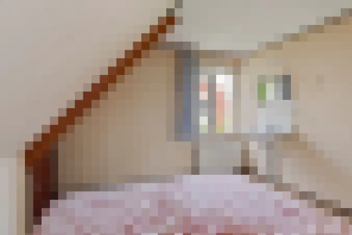 Kanaaldijk 266 Koedijk thumbnail 21