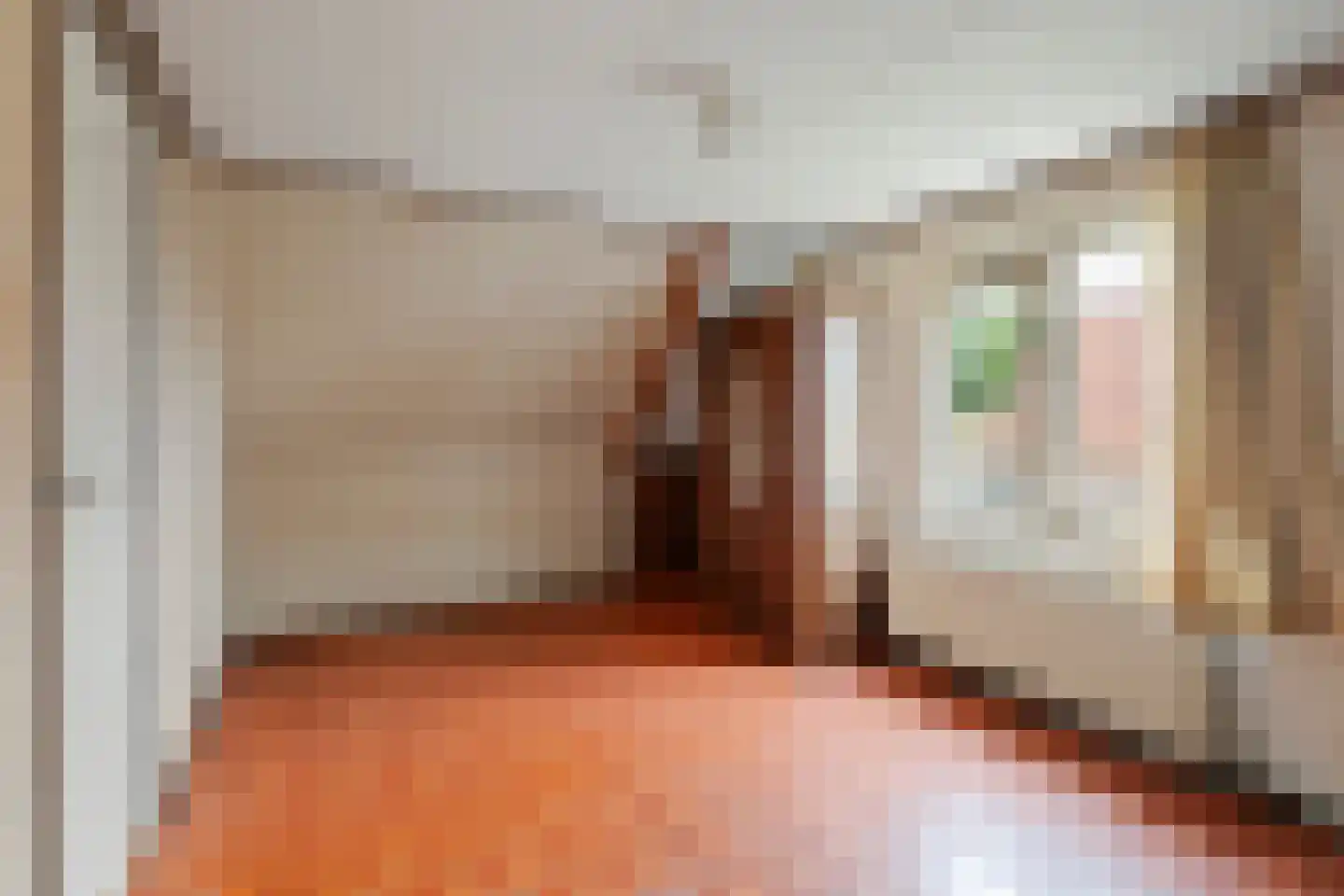 Kanaaldijk 266 Koedijk thumbnail 23