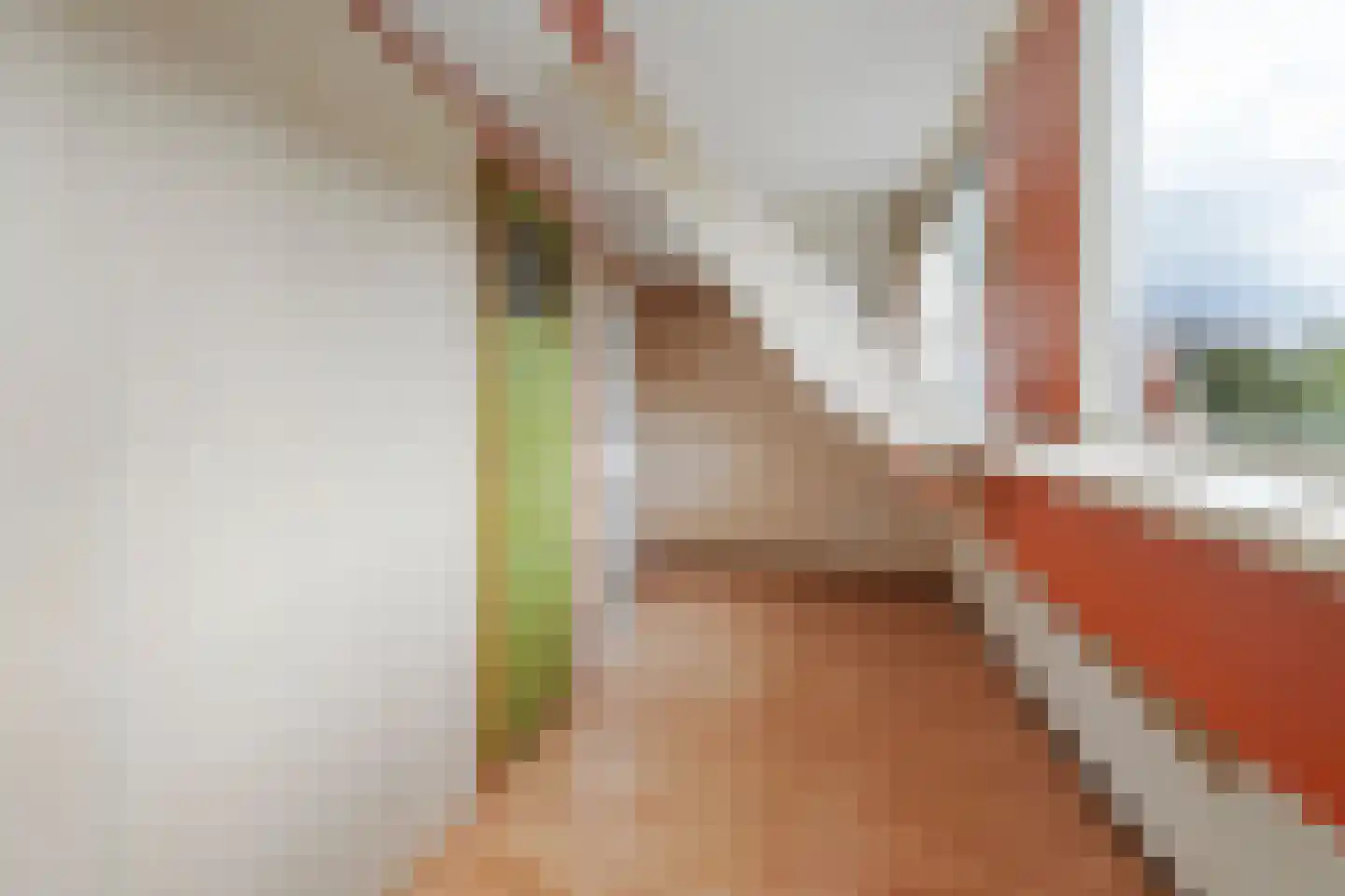 Kanaaldijk 266 Koedijk thumbnail 25