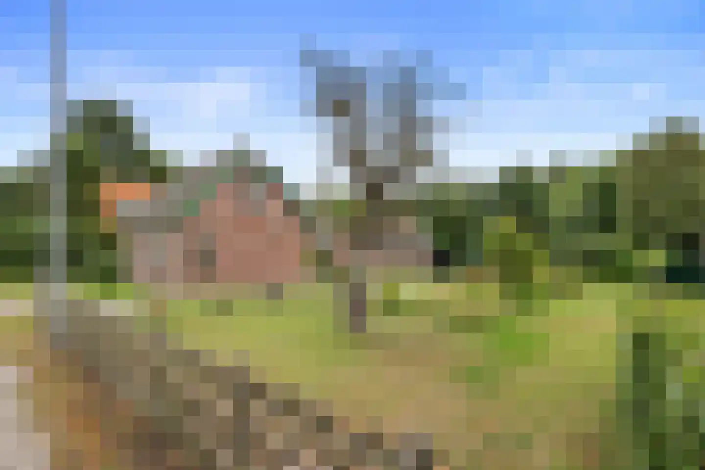 Kanaaldijk 266 Koedijk thumbnail 29