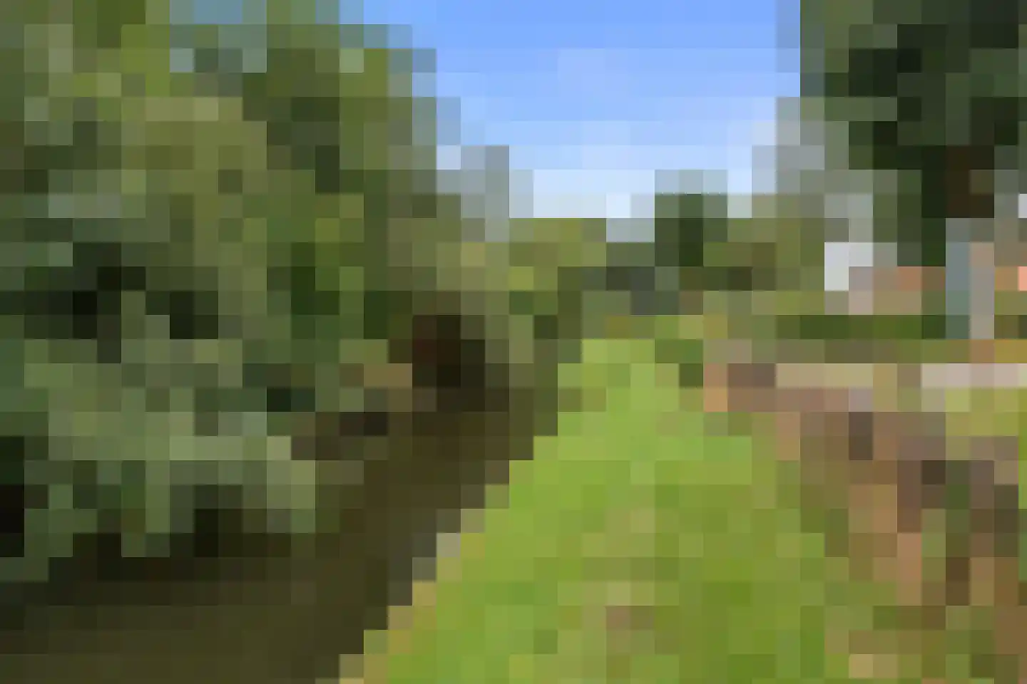 Kanaaldijk 266 Koedijk thumbnail 33
