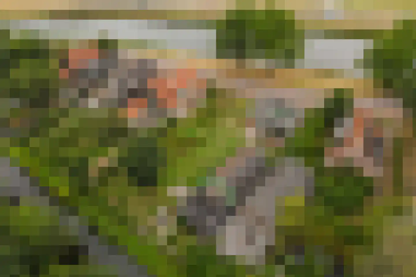 Kanaaldijk 266 Koedijk thumbnail 47