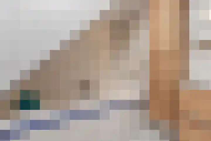 Kanaaldijk 280 Koedijk thumbnail 34