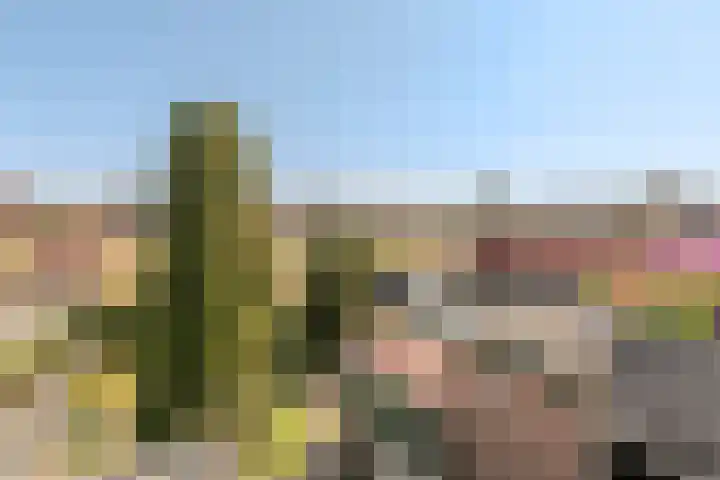 Kanaaldijk 280 Koedijk thumbnail 37