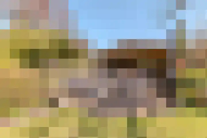 Kanaaldijk 280 Koedijk thumbnail 42