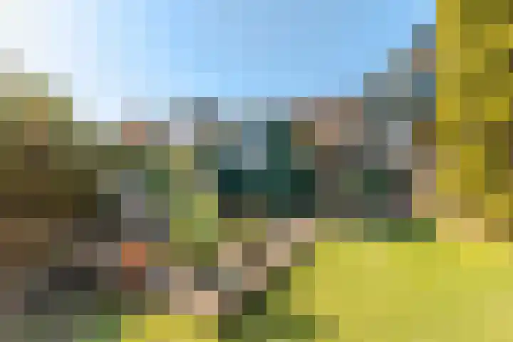 Kanaaldijk 280 Koedijk thumbnail 50