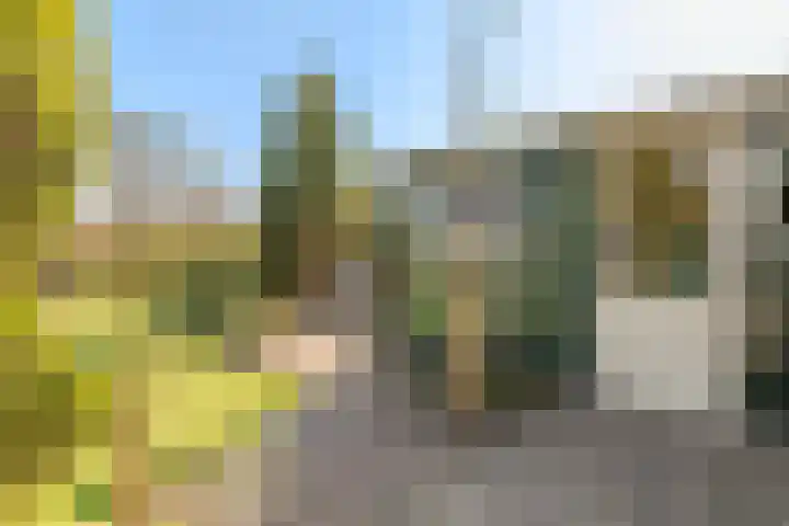 Kanaaldijk 280 Koedijk thumbnail 54