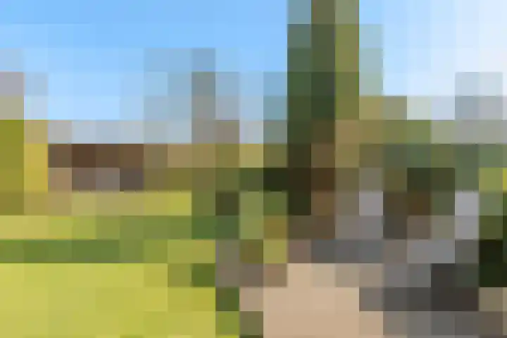 Kanaaldijk 280 Koedijk thumbnail 55