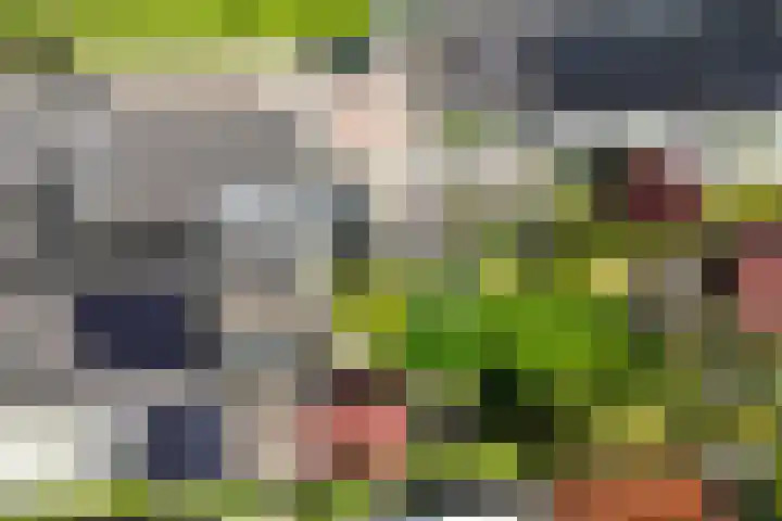 Kanaaldijk 280 Koedijk thumbnail 64
