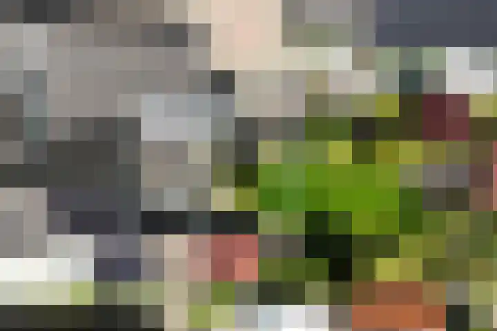 Kanaaldijk 280 Koedijk thumbnail 69