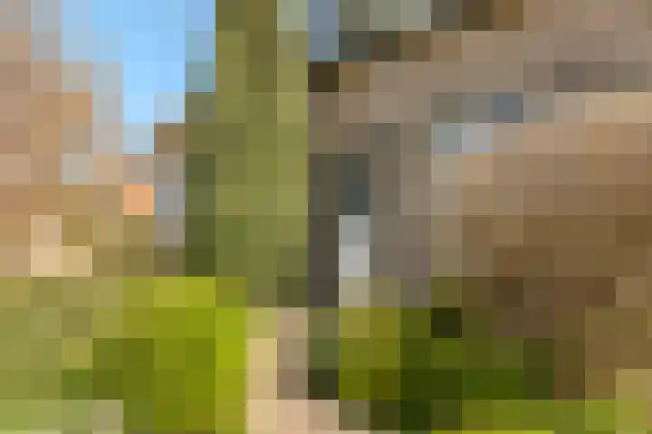 Kanaaldijk 280 Koedijk thumbnail 7