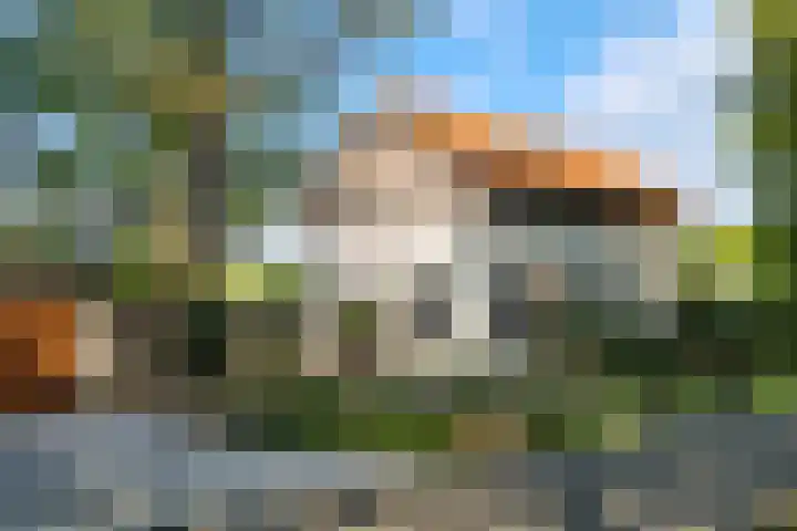 Kanaaldijk 3 Meijel thumbnail 10