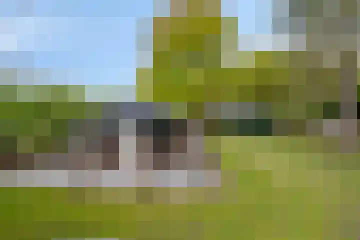 Kanaaldijk 3 Meijel thumbnail 101