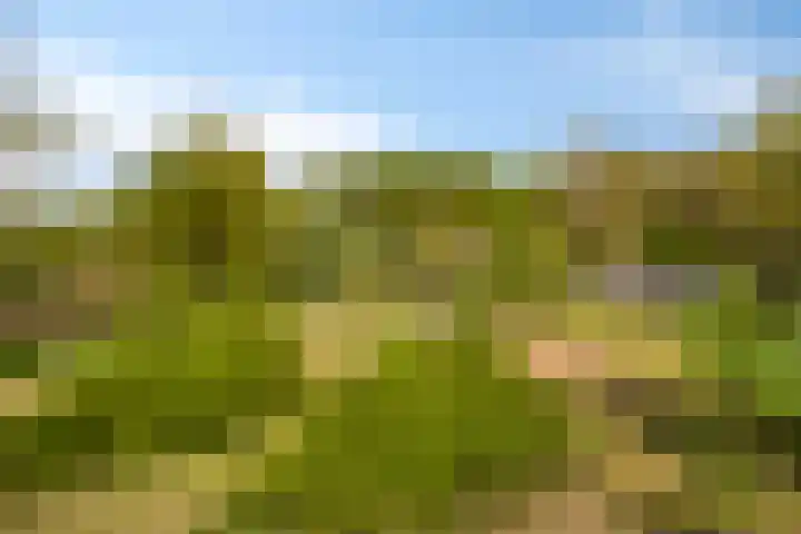 Kanaaldijk 3 Meijel thumbnail 103