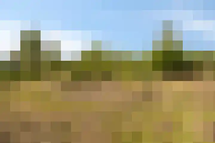 Kanaaldijk 3 Meijel thumbnail 104