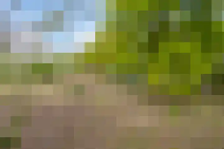 Kanaaldijk 3 Meijel thumbnail 105