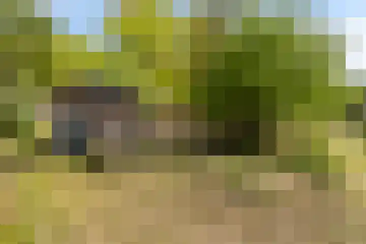 Kanaaldijk 3 Meijel thumbnail 106