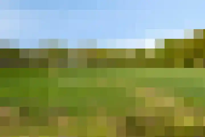 Kanaaldijk 3 Meijel thumbnail 107