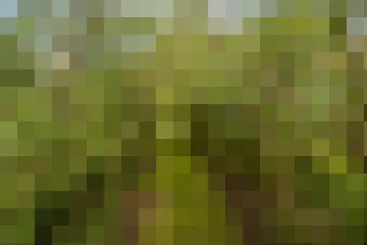 Kanaaldijk 3 Meijel thumbnail 108