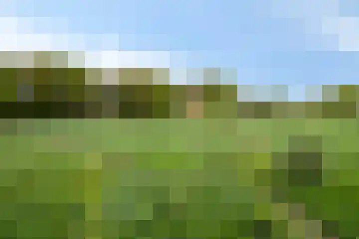 Kanaaldijk 3 Meijel thumbnail 109