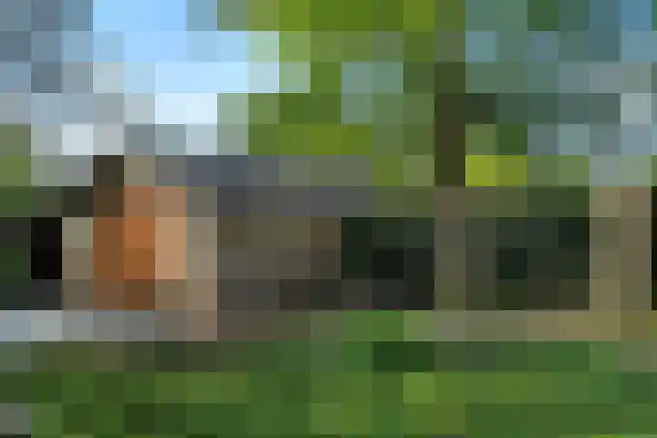 Kanaaldijk 3 Meijel thumbnail 11