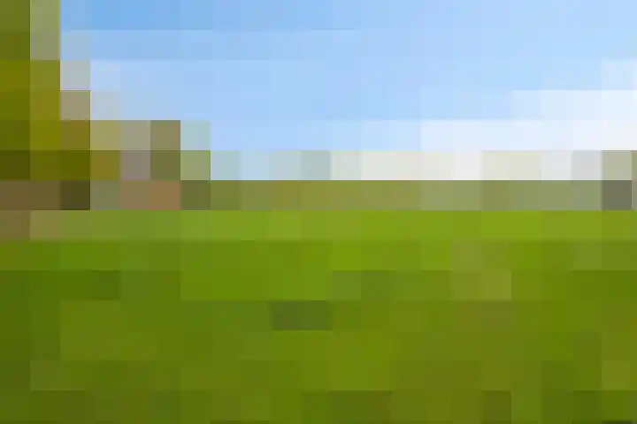 Kanaaldijk 3 Meijel thumbnail 110