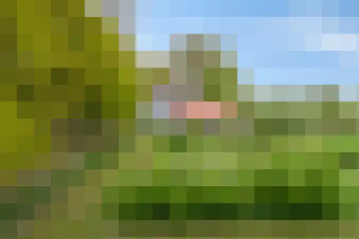 Kanaaldijk 3 Meijel thumbnail 111