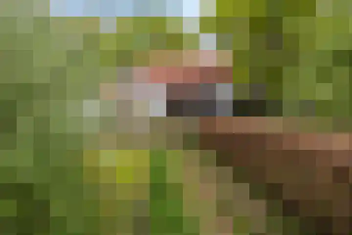 Kanaaldijk 3 Meijel thumbnail 112