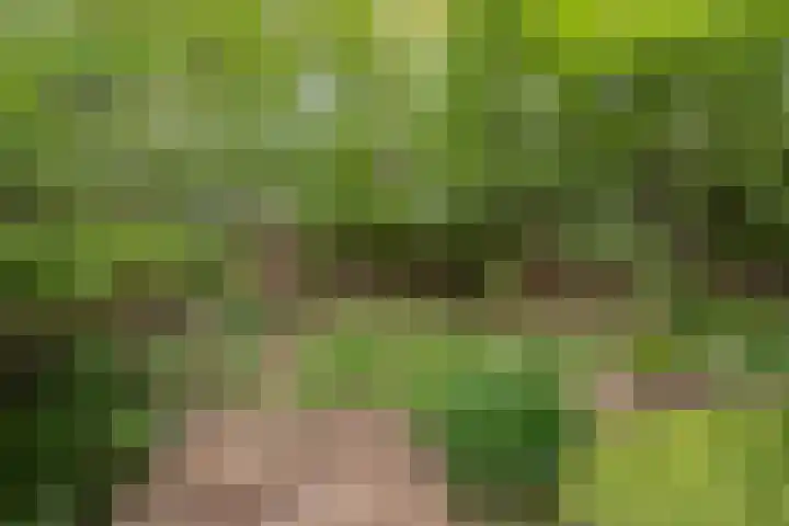 Kanaaldijk 3 Meijel thumbnail 114