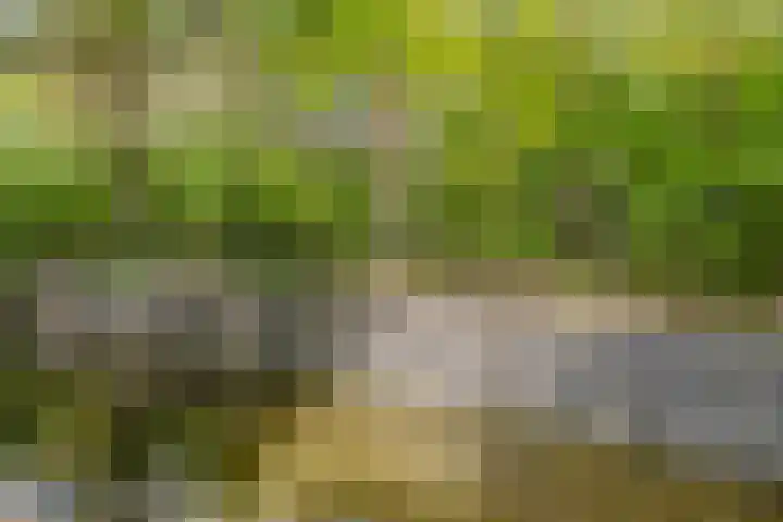 Kanaaldijk 3 Meijel thumbnail 115