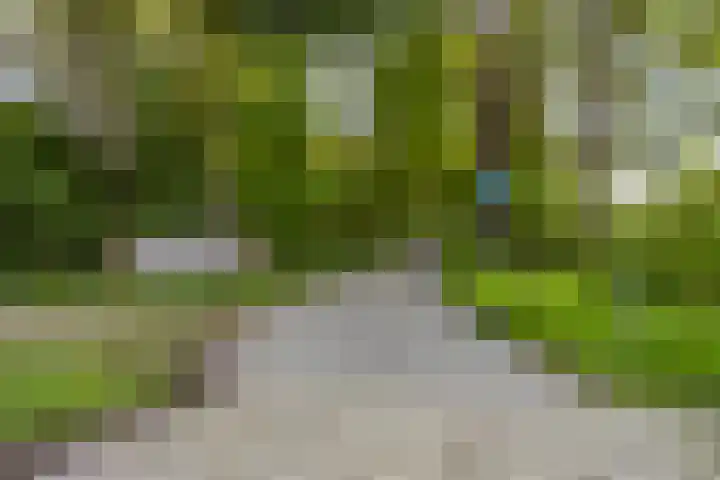 Kanaaldijk 3 Meijel thumbnail 117
