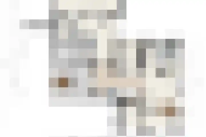 Kanaaldijk 3 Meijel thumbnail 119
