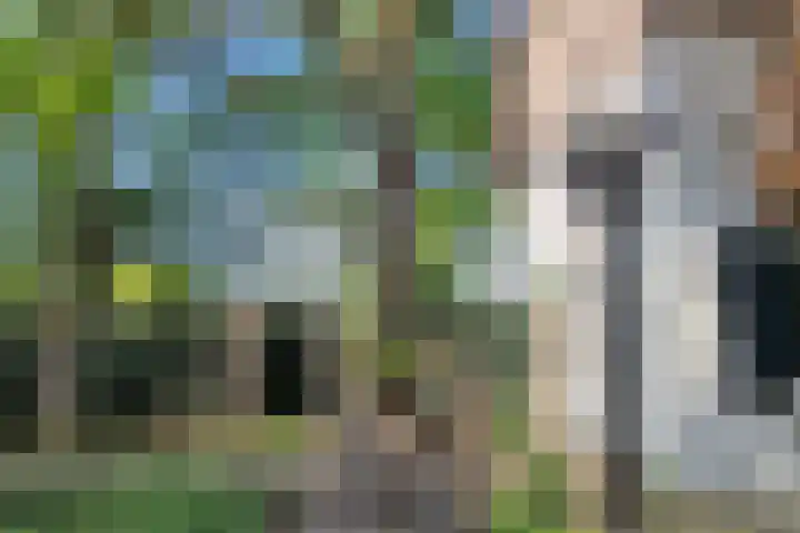 Kanaaldijk 3 Meijel thumbnail 12