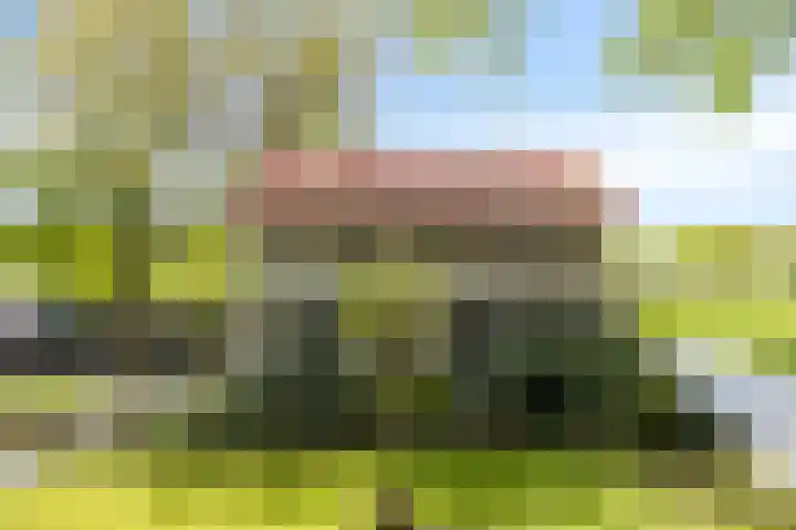 Kanaaldijk 3 Meijel thumbnail 125