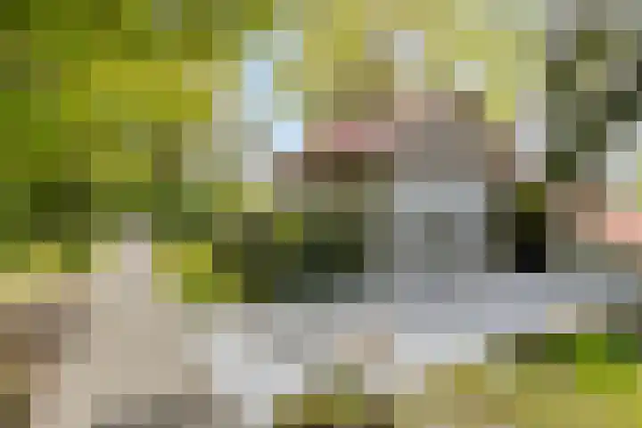 Kanaaldijk 3 Meijel thumbnail 16