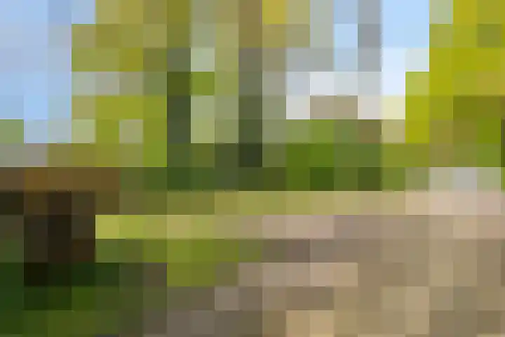 Kanaaldijk 3 Meijel thumbnail 18